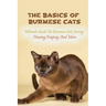 The Basics Of Burmese Cats: Ultimate Guide On Burmese Cats Caring, Housing, Keeping, And More: The Great Benefits Of Owning Burmese Cats