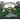 Creekfinding: A True Story