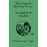 The Bobbsey Twins at Meadow Brook: A Classic Bobbsey Twins Adventure of Family and Discovery