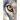 The Eyes of a Wolf