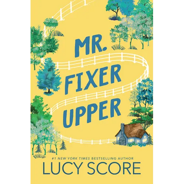 Mr. Fixer Upper