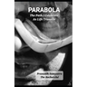 Parabola: The Path I Celebrate As Life Transits