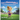 I'm a Hummingbird: An Adventure with Pixie Littlefield