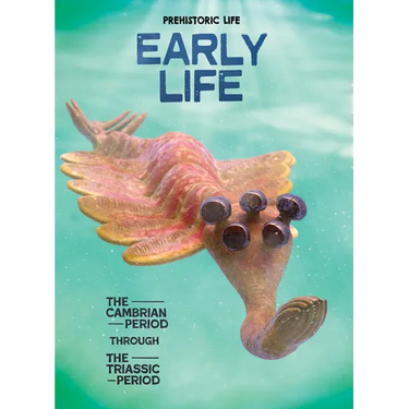 Early Life: The Cambrian Period Through the Triassic Period