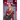Red Era