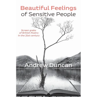 Beautiful Feelings of Sensitive People: Screen grabs of British Poetry in the 21st century