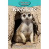 Meerkats
