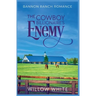 The Cowboy Billionaire's Enemy