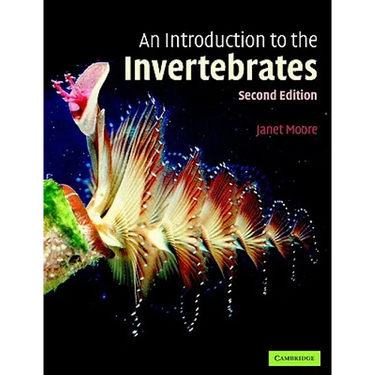 An Introduction to the Invertebrates