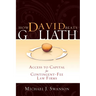 How David Beats Goliath: Access to Capital for Contingent-Fee Law Firms