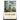 The Outlaw Album: Stories (Large Print Edition)