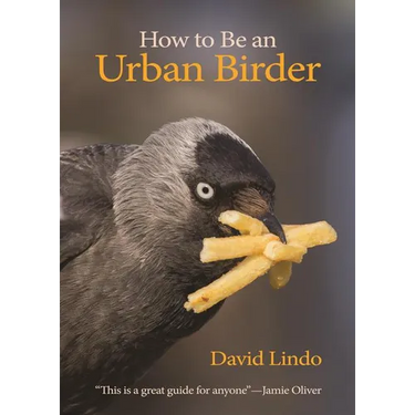 How to Be an Urban Birder