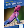 Spider-Man Agama