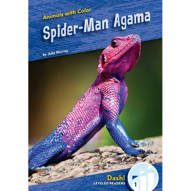 Spider-Man Agama