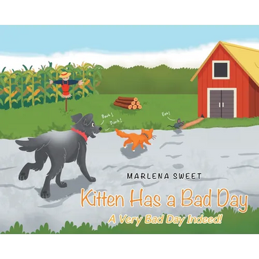 Kitten Has A Bad Day: A Very Bad Day Indeed!