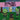 Goblins Tell Time!