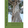 Poplar (english version): A story about communication with Nature