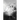 The Light and Dark of My Mind