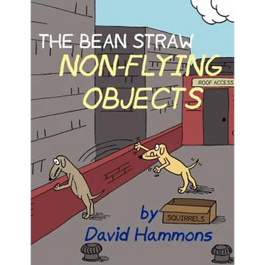The Bean Straw: Non-Flying Objects