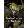 Birds of Japan