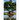 The Kallada Escapades