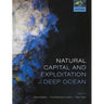 Natural Capital and Exploitation of the Deep Ocean