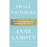 Small Victories: Spotting Improbable Moments of Grace