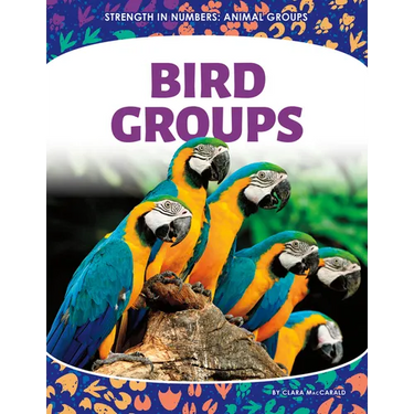 Bird Groups