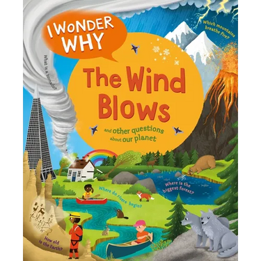 I Wonder Why the Wind Blows: And Other Questions about Our Planet