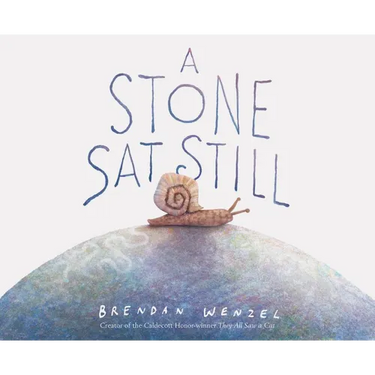A Stone SAT Still