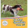Cocker Spaniels Show Off