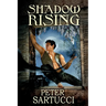 Shadow Rising: Sequel to 'Shadow and Light'