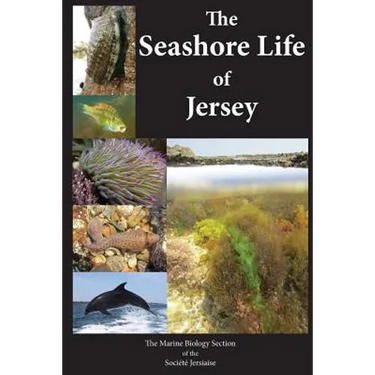 The Seashore Life of Jersey