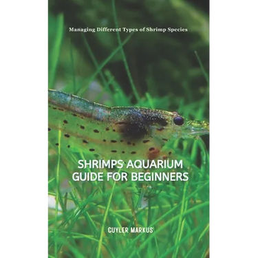 Shrimps Aquarium Guide for Beginners: Managing Different Types of Shrimp Species