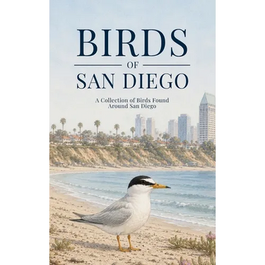 Birds of San Diego: A Collection of Birds Found Around San Diego