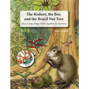 The Rodent, the Bee, and the Brazil Nut Tree: How Living Things Work Together for Survival