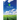 The Query