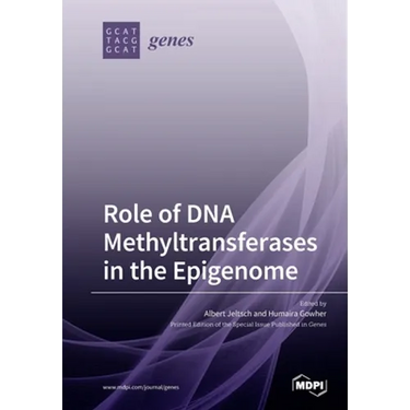Role of DNA Methyltransferases in the Epigenome