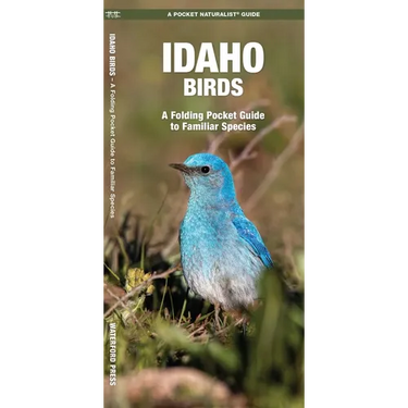 Idaho Birds: A Folding Pocket Guide to Familiar Species