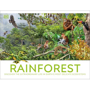 Rainforest