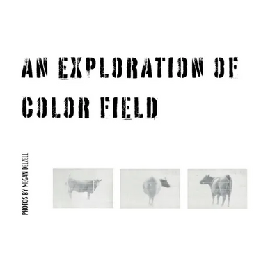 An Exploration In Color Field