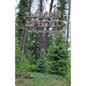 The Man in the Photo: A Flagstaff Mystery
