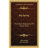 Big Spring: The Casual Biography Of A Prairie Town