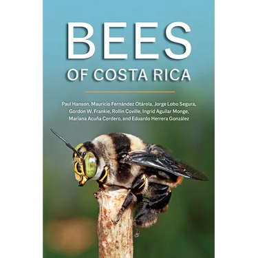Bees of Costa Rica