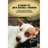A Guide To Jack Russell Terrier: Caring, Feeding, Grooming, Health Treatments And Training: Jack Russell Terrier Personality
