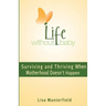 Life Without Baby: Surviving and Thriving When Motherhood Doesn't Happen