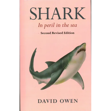 Shark: In peril in the sea