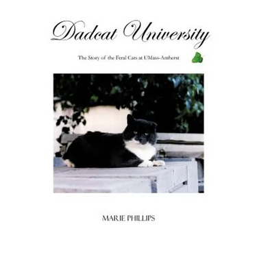 Dadcat University: The Story of the Feral Cats at UMass-Amherst