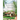 Little Cottage House: Revolution and Revelations