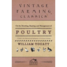 On the Breeding, Rearing, and Management of Poultry - A Guide to the Methods and Equipment of Livestock Farming